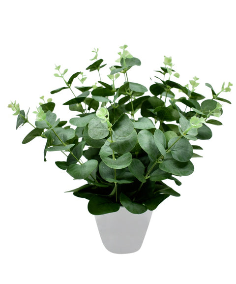 Stylish plastic vase with artificial plants