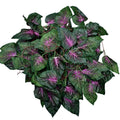 Purple decorative string vine for bold home decoration