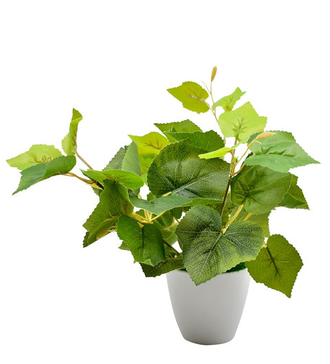 Home Decoration Artificial Plants Potted