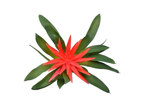 Guzmania fake plant for tropical décor