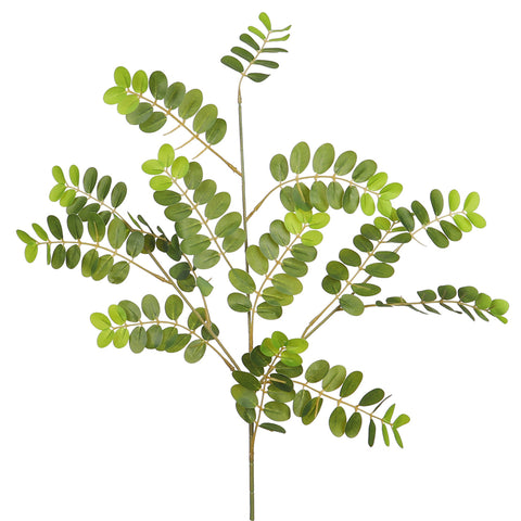 Artificial acacia leaf branch for home decor