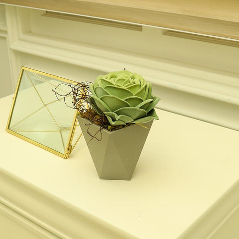 Green rose succulent for home decor