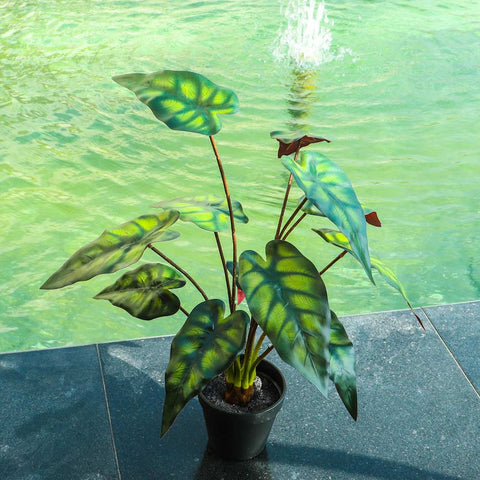 Fake Alocasia Polly Plant