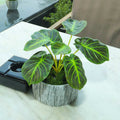 Decorative Artificial Alocasia Clypeolata for Modern Interiors