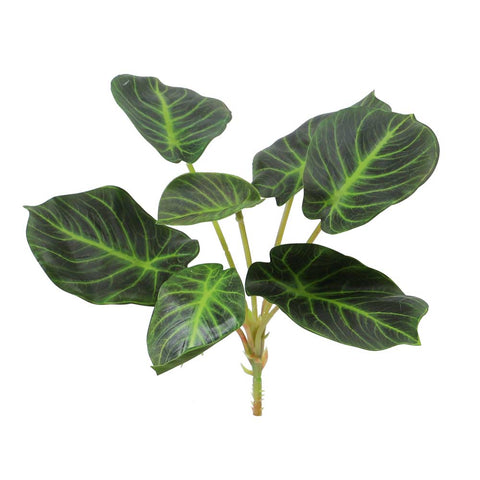 Artificial Alocasia Clypeolata Plant for Indoor Decor