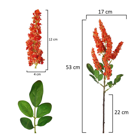 Amaranthus Flower Stem