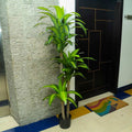 Fake Dracaena Massangeana Plant for Home Decor