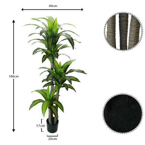 Artificial Dracaena Massangeana for Stylish Interiors