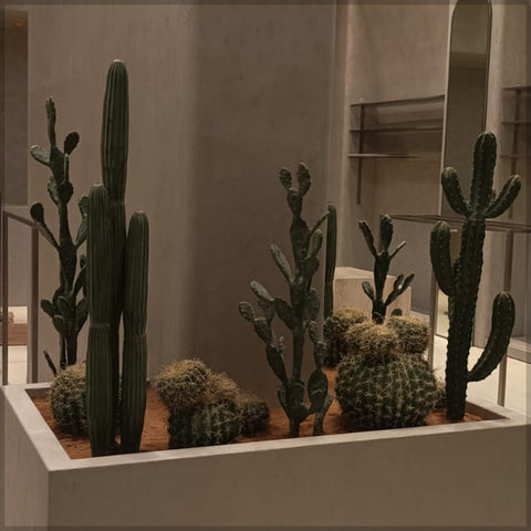 Artificial Cactus Arrangement for Shop Decoration