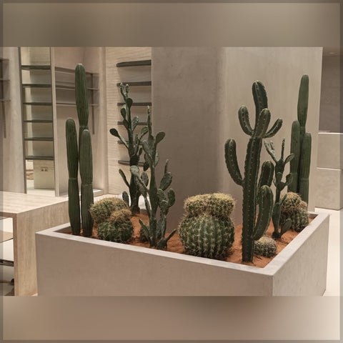 Artificial Cactus Arrangement for Shop Decoration