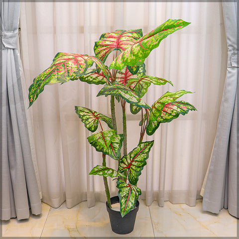 Artificial Caladium Plant in a decorative pot for modern interiors