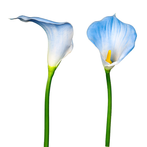 Artificial Calla Lilies Flowers