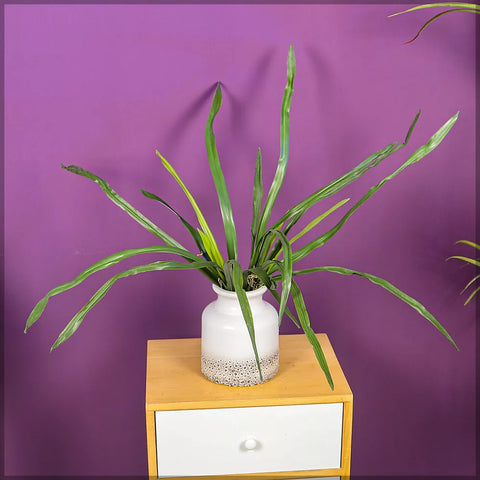 2PCS Artificial Cymbidium Leaves