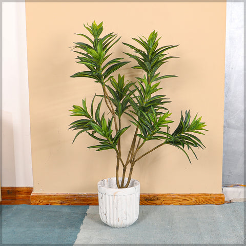 Artificial dracaena reflexa for indoor décor