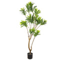 Potted faux dracaena reflexa plant