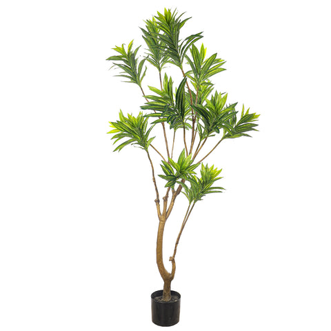 Potted faux dracaena reflexa plant