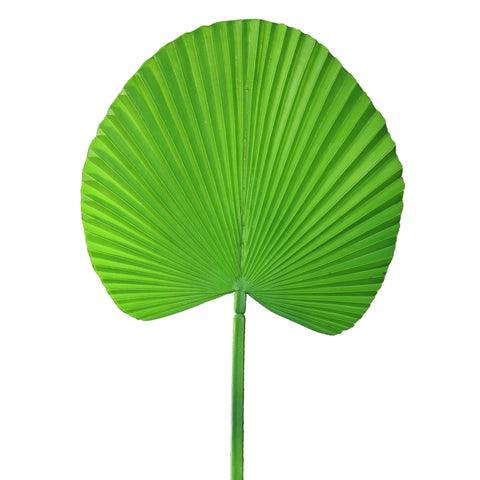 Artificial Colored Fanleaf