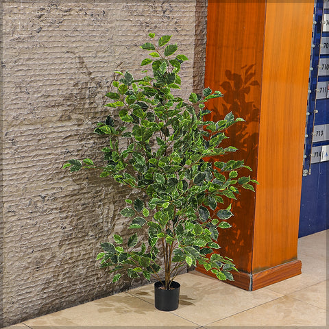 Lifelike artificial ficus plant for modern interiors