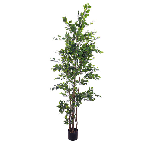 Artificial ficus plant 210cm tall for stylish home décor