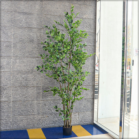 250cm tall artificial ficus tree for spacious interiors