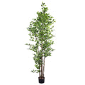 Artificial ficus plant 250cm tall for stylish home décor