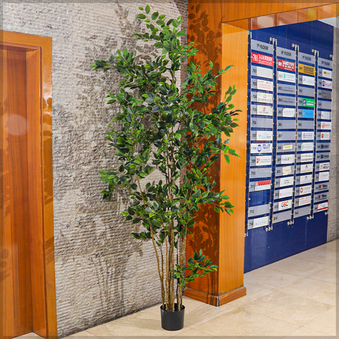 Artificial ficus tree 250cm tall for office styling