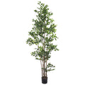 Faux ficus plant for large spaces 250cm tall