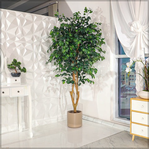 Lifelike green ficus plant for contemporary spaces