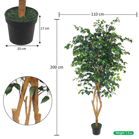 Faux ficus tree 2 meters high for indoor styling