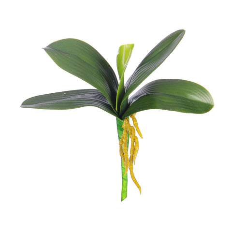 Artificial Green Phalaenopsis Orchid Leaves