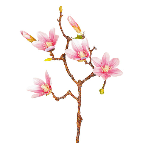 Artificial Yulan Magnolia Flower