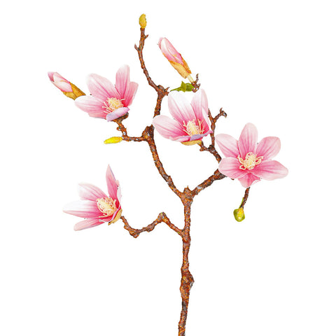 2pcs Artificial Yulan Magnolia Flower