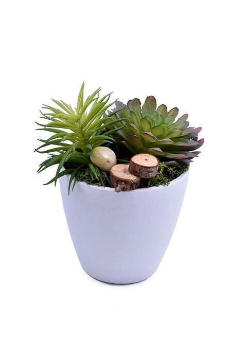 Magnusiana artificial air plant