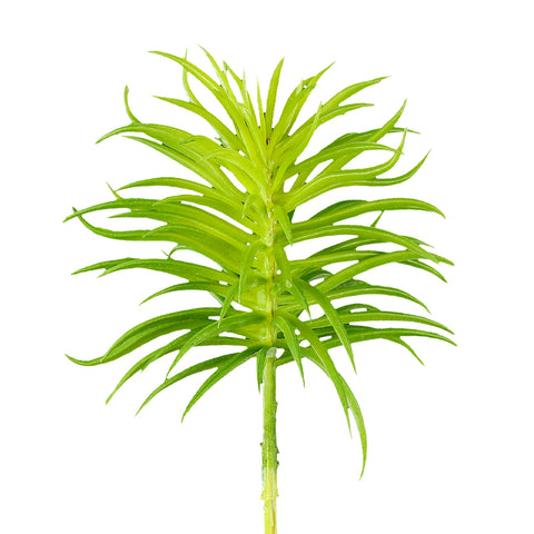 Artificial magnusiana succulents air plant