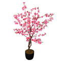 Small Cherry Blossom Tree for Weddings