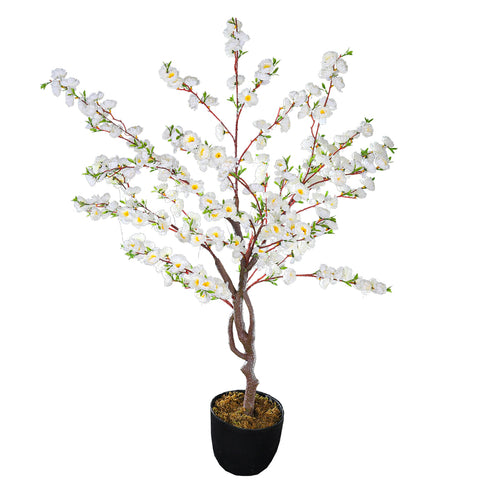 Compact Cherry Blossom Tree for Small Spaces