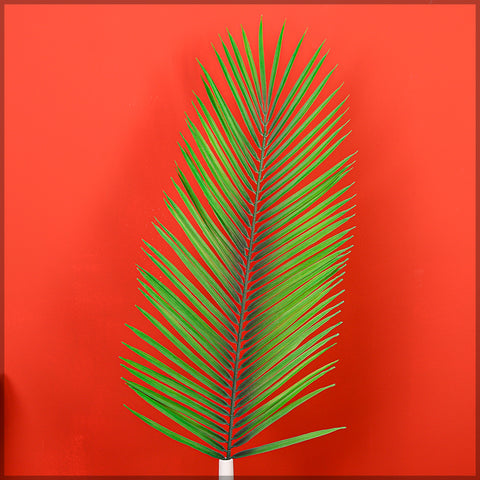 Palm leaves for tropical decor