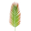 Artificial palm leaf