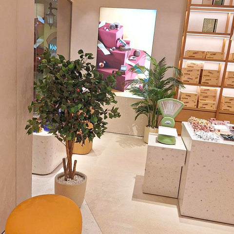 Artificial Plants for Shop Decoration