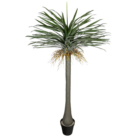 Potted artificial yucca for sleek home styling