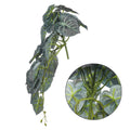 Syngonium leaves vine decor