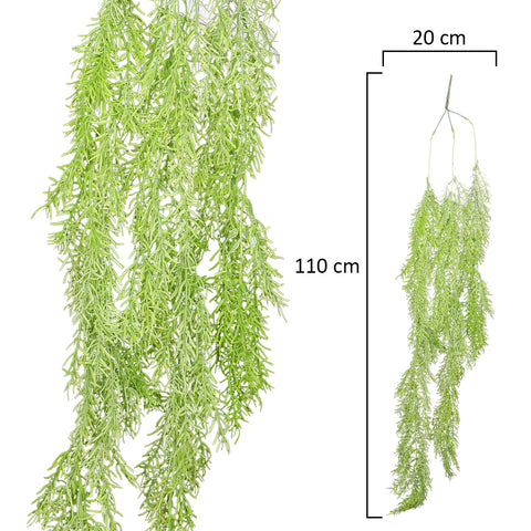 Asparagus vine hanging decor