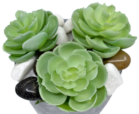 Artificial Green Potted Succulent Plant