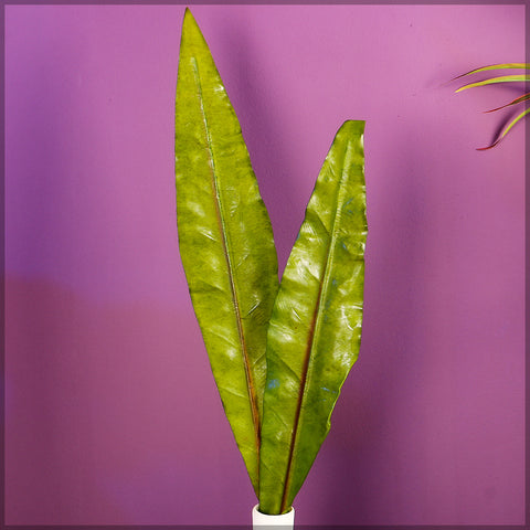 Lifelike fake banana leaf plant for indoor styling