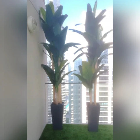 Green wall arrangements + Cactus Landscape