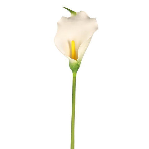 Artificial Calla Lily Flower Big Size