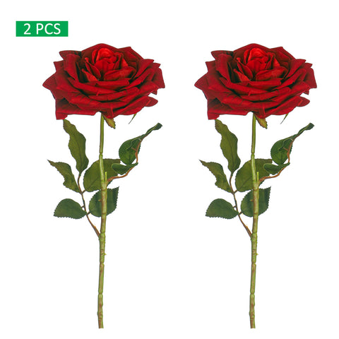 Medium Size Single Stem Red Rose