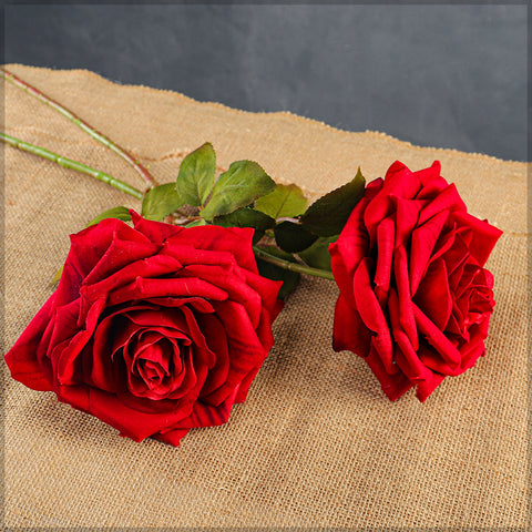 Medium Size Single Stem Red Rose