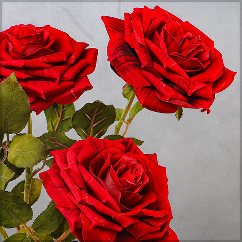 Medium Size Single Stem Red Rose