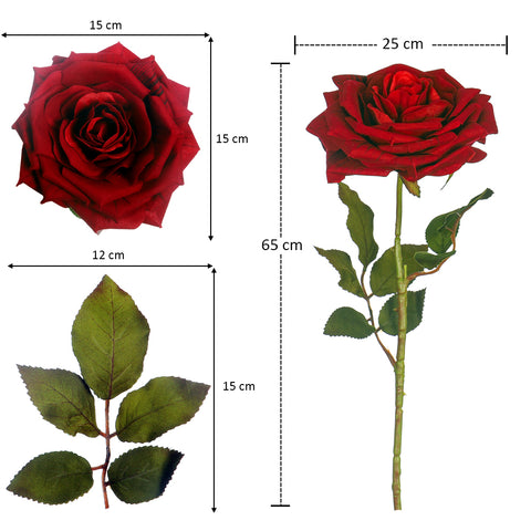 Medium Size Single Stem Red Rose